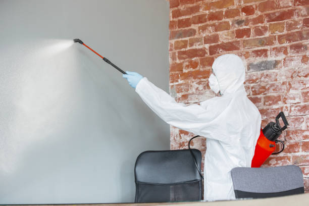 Best HVAC Mold Inspection and Cleaning  in , NY